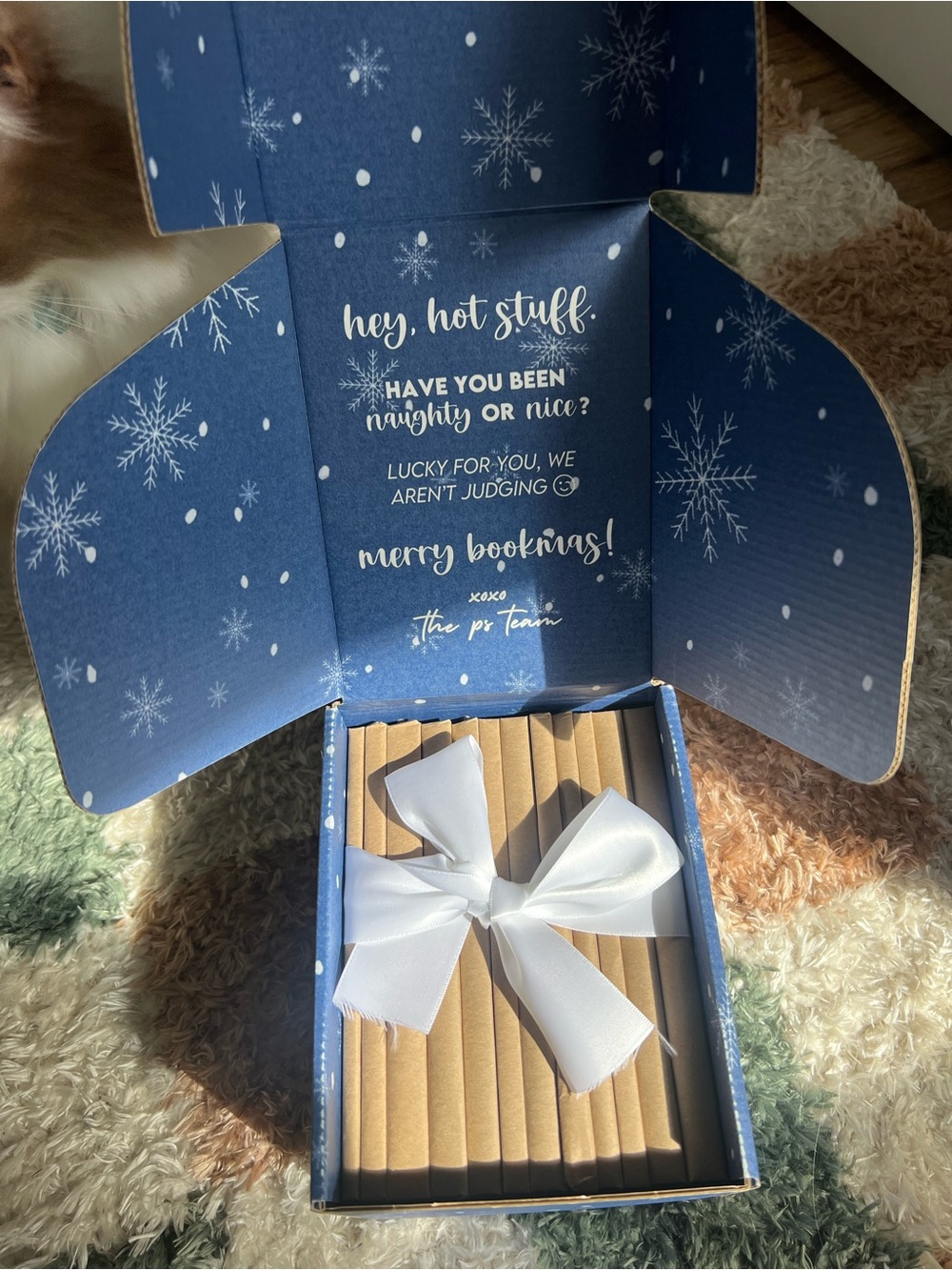 *NEW IN BOX* Probably Smut - 2024 Advent Calendar